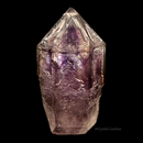 Amethyst "Skeletal" Scepter