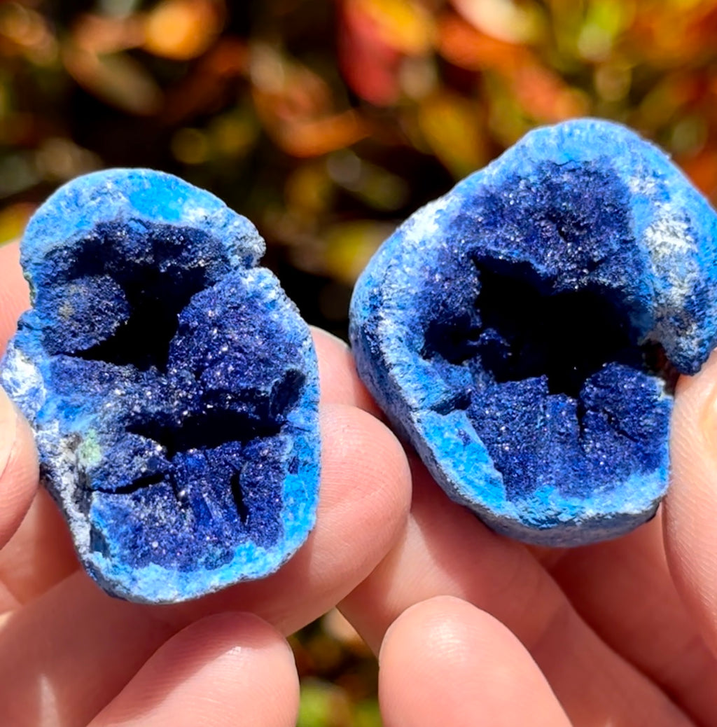 Azurite Geode Azurites Azure Geodes Sparkling Druzy Blue Crystals
