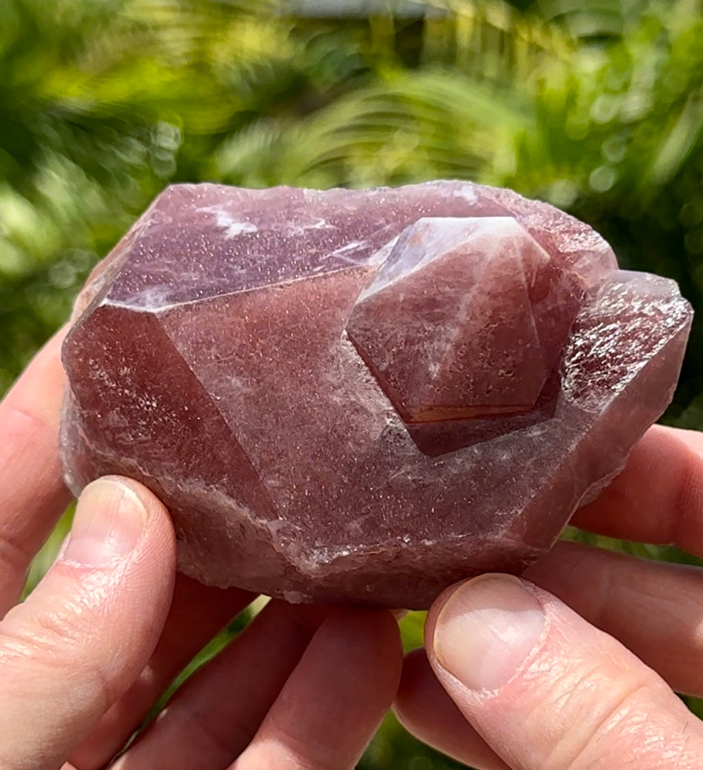 Natural "Strawberry Quartz" Hematite Sparkle Red Pink Quartz Crystal Crystals Uruáchic, Uruáchic Municipality, Chihuahua, Mexico
