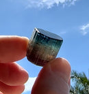 "Blue Cap Sapo" Tourmaline