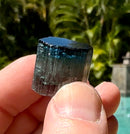 "Blue Cap Sapo" Blue Cap Sapo Tourmaline Tourmalines Sapo mine, Ferruginha, Conselheiro Pena, Minas Gerais, Brazil