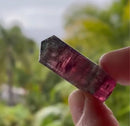 Tourmaline Enhydro