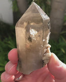 Quartz with Tourmaline Inclusions