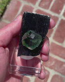 Fluorite on Black Tourmaline