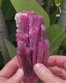 Tourmaline v. Rubellite