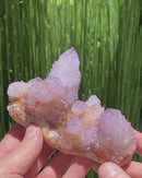 Amethyst "Cactus Quartz"