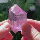 Hot-Pink Kunzite