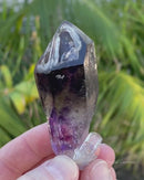Smoky-Amethyst Fenster Scepter Enhydro