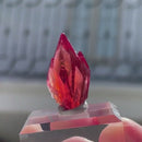 Rhodochrosite "Crown"