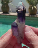 Amethyst Scepters Enhydro
