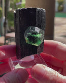 Fluorite on Black Tourmaline