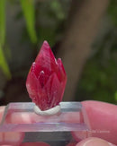 Rhodochrosite "Crown"