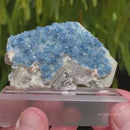 Blue Fluorapatite on Muscovite