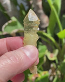 "Arrow Head" Etched Heliodor "Dagger"