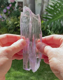 Purple Kunzite