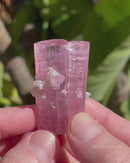 Bubble Gum Pink Tourmaline