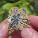 Rutile Cluster with Hematite
