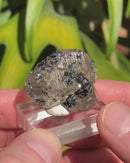 Gwindel Quartz with Black Hematite