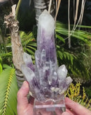 "White Tipped" Amethyst