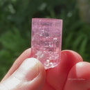 Bubble Gum Pink Tourmaline