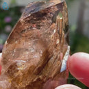 Smoky Quartz Scepter with Enhydros