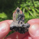 Quartz with Black Hematite