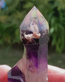 Amethyst Scepters Enhydro