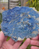 Kinoite with Apophyllite Druze