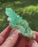 Fluorite with Quartz on Fluorite