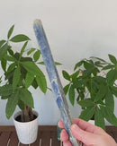 Kyanite "Wand"