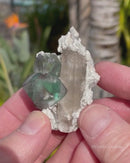 "Alien Eye" Fluorite with Quartz