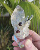 Garnets On and In Quartz with Muscovite