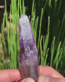 Guerrero Amethyst