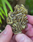 Wulfenite "Sandwiches"