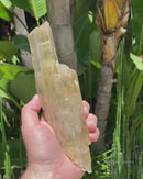 Yellow Triphane Enhydro