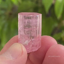 Bubble Gum Pink Tourmaline