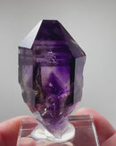 Amethyst Enhydro Scepter
