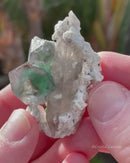 "Alien Eye" Fluorite with Quartz