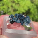 Blue Fluorapatite with Schorl
