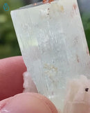 Aquamarine Enhydro with Garnets