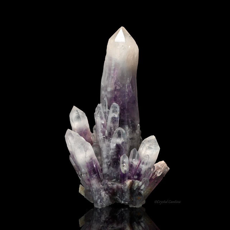 "White Tipped" Amethyst