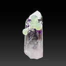 Smoky-Amethyst Enhydro with Prehnite
