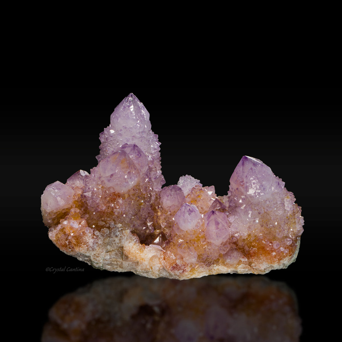 cactus amethyst Amethyst 