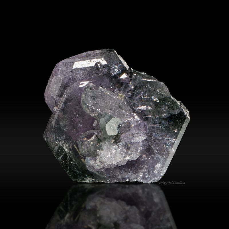Purple Apatite with Actinolite