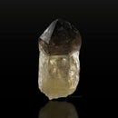 Two-Tone Smoky Citrine Scepter