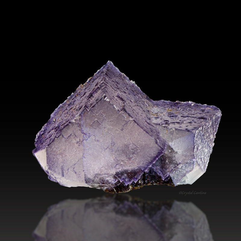"Spotted" Fluorite with Sphalerite