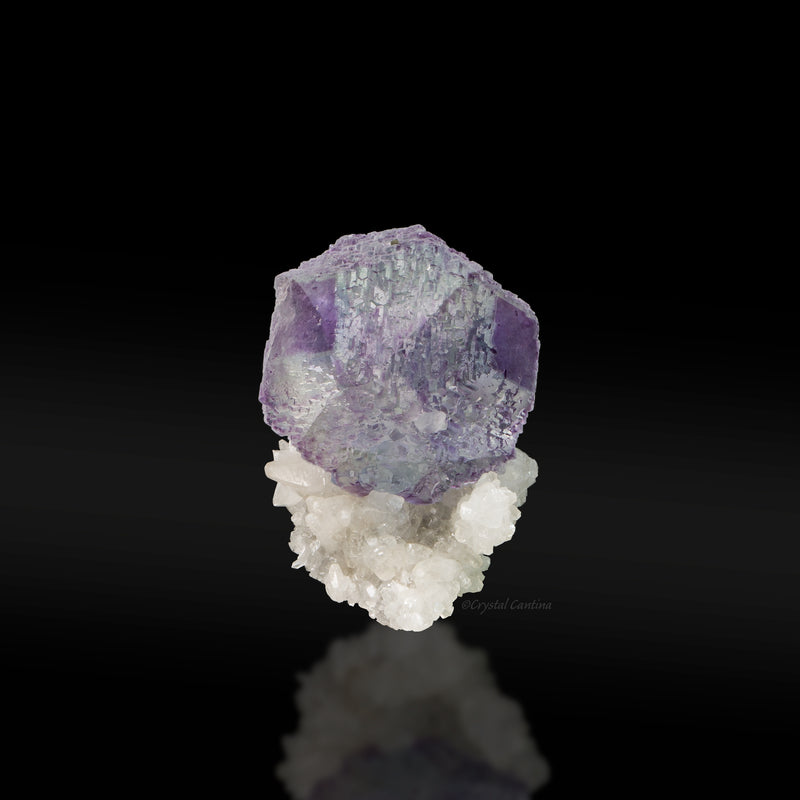 Fluorite on Calcite