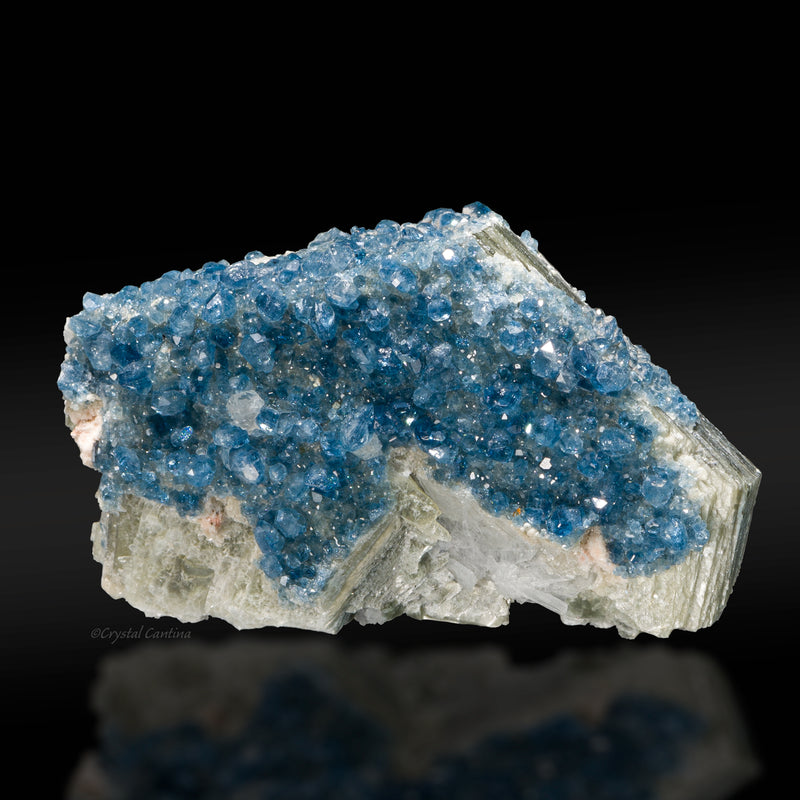 Blue Fluorapatite on Muscovite