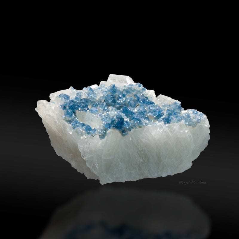 Blue Fluorapatite on Cleavelandite