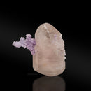 Morganite with Lepidolite